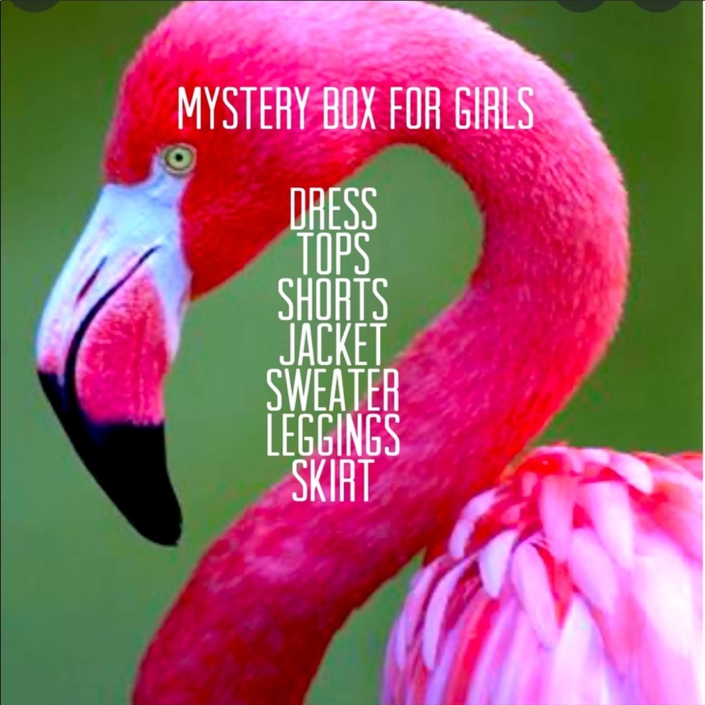 🦩MYSTERY BOX 🦩